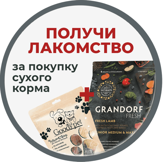 Купи сухой корм - получи лакомство в подарок Купи сухой корм - получи лакомство в подарок
