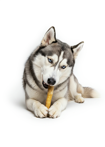 Лакомства для зубов