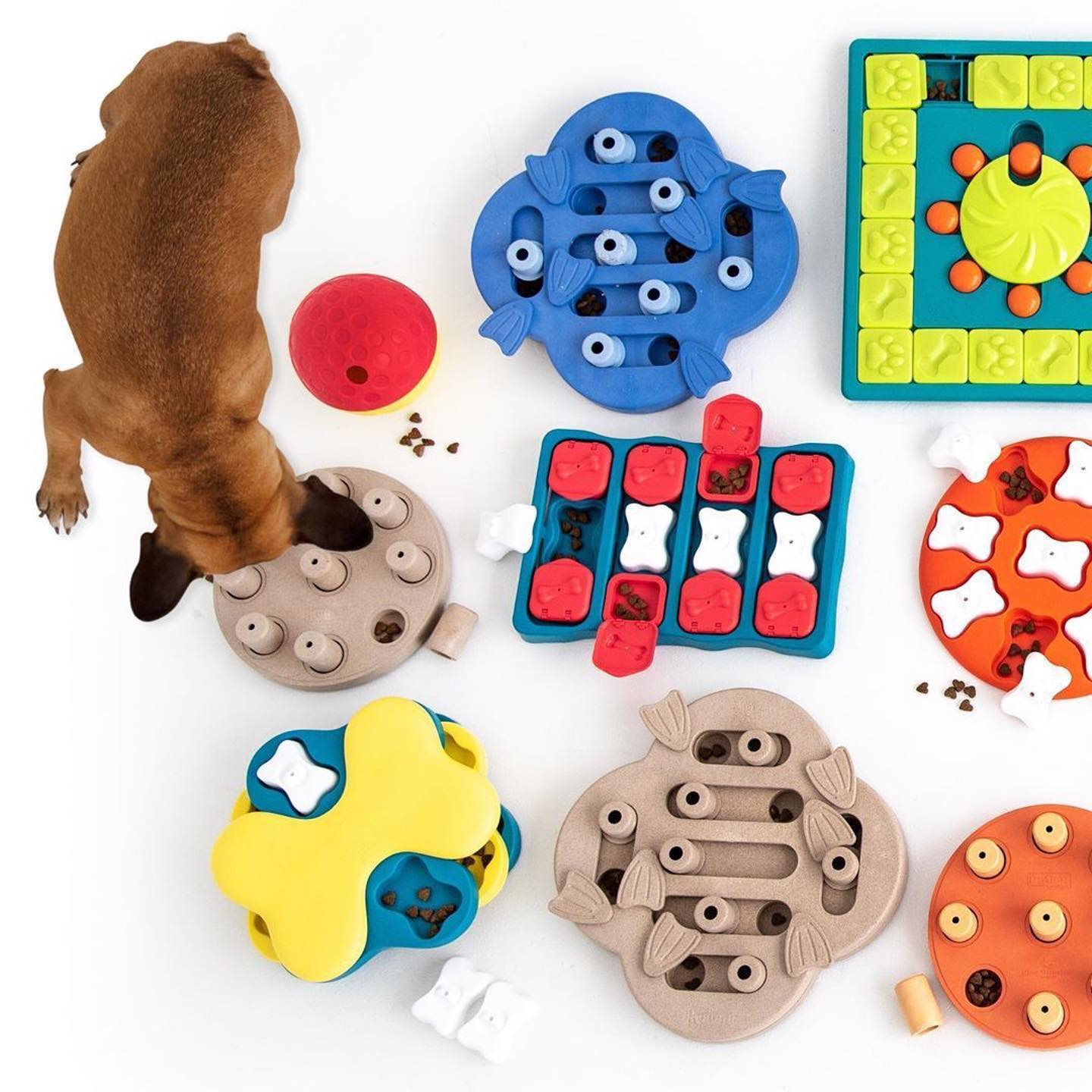 Новинка! Игрушки-головоломки Nina Ottosson для собак и кошек