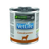 Farmina Vet Life Convalescence Влажный корм для собак после болезни 300 г