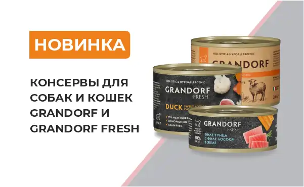НОВИНКИ GRANDORF НОВИНКИ GRANDORF
