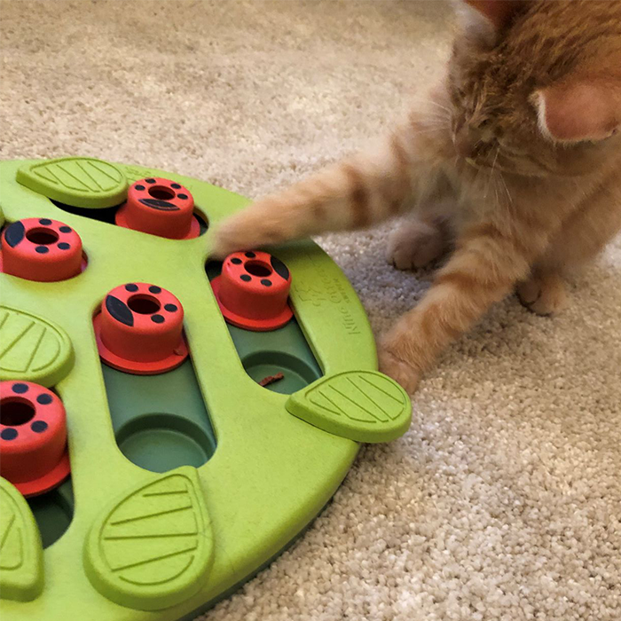 Nina Ottosson Buggin' Out Puzzle & Play
