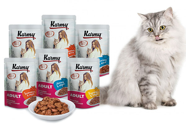Кошачий корм влажный Ozon