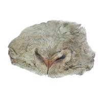 Lucky Animals Носы бараньи Лакомство для собак 100 г