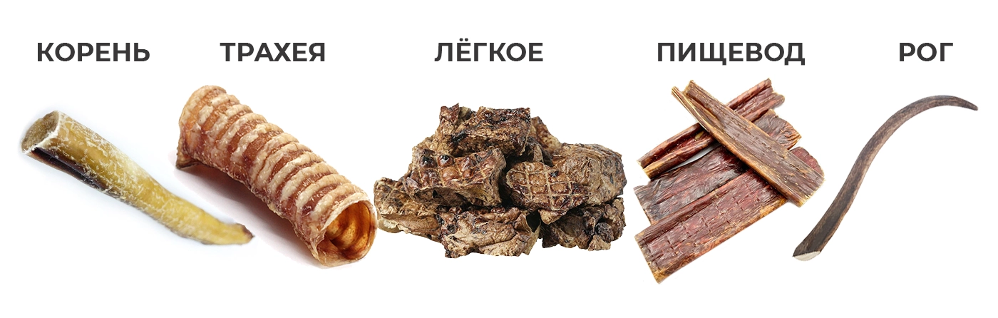 статья зубы.webp