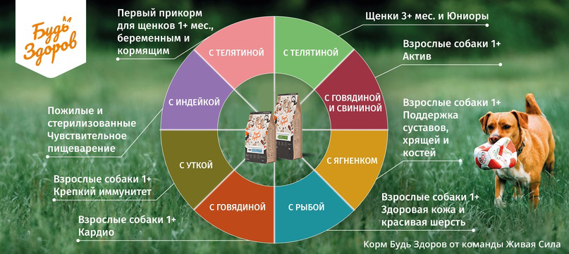 zj3fi2149wwj4vyvxgysg3yb7ga04uzc.jpg zj3fi2149wwj4vyvxgysg3yb7ga04uzc.jpg