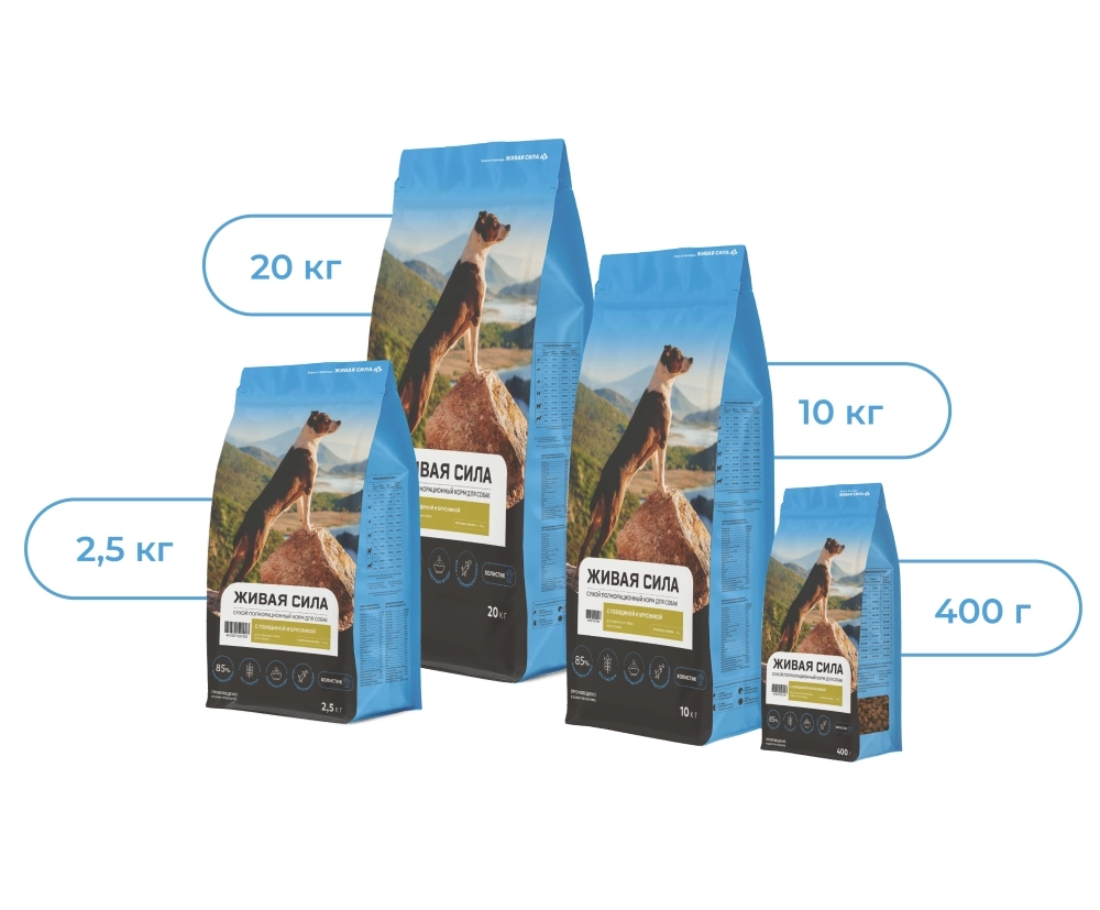 размеры.webp размеры.webp