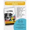 ZOOCHARM Корм для собак средних и крупных пород с чувствительной кожей Свинина, оленина и тыква Вес 1,8 кг
