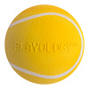 Жевательный мяч с пищалкой и ароматом, SQUEAKY CHEW BALL 8 см, Playology Цвет желтый