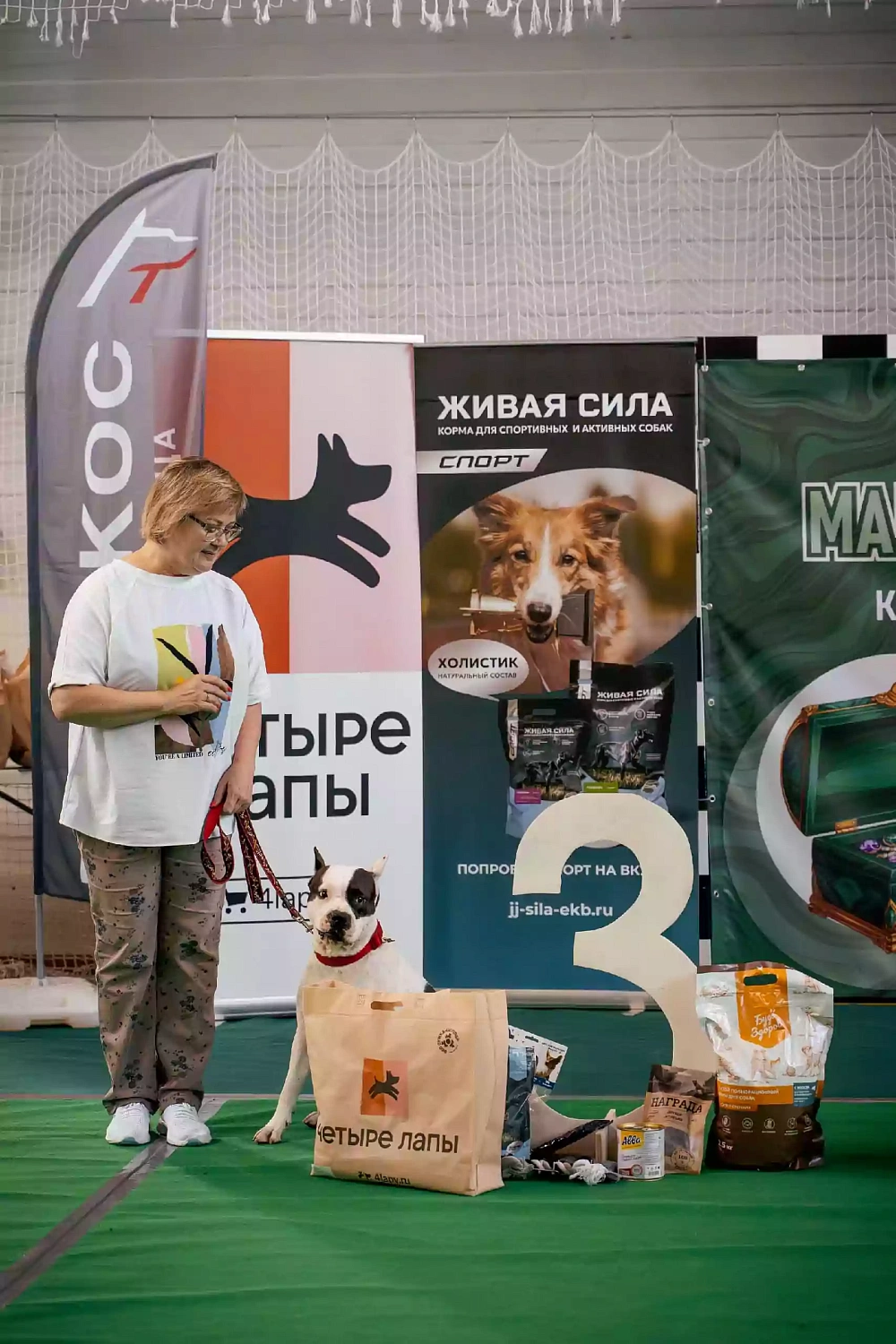 ТАЛИКОС выступила партнером чемпионата РКФ по танцам с собаками