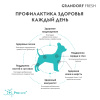 GRANDORF Fresh Индейка с бататом для собак мелких пород Вес 3 кг