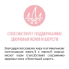 KARMY Delicious Курица 10 кг