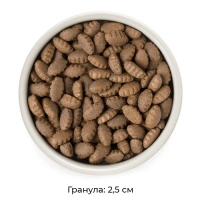 GRANDORF Индейка для взрослых собак крупных пород Вес 10 кг