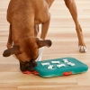 Игра-головоломка для собак Казино, 3 (продвинутый) уровень сложности, Nina Ottosson Casino