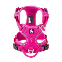 Шлейка прогулочная с ручкой Classic, Truelove Размер S, Цвет розовый