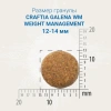 CRAFTIA GALENA WEIGHT MANAGEMENT (Obesity) CARE для собак при избыточном весе Вес 10 кг