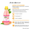 Шампунь Iv San Bernard Fruit of the Groomer Pink Grapefruit для шерсти средней длины с витаминами 500 мл