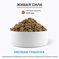 Живая Сила Телятина и черника Сухой корм для щенков от 1 месяца. Мелкая гранула