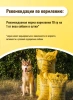 Быстрокаша ХотьDog Крафтовый пакет