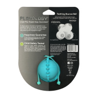 Дентальный жевательный тройной мяч с ароматом для щенков SQUEAKY BOUNCE BALL, Playology Цвет голубой