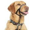Недоуздок для собак HALTI Headcollar, COA  Размер 3