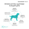 GRANDORF Fresh Утка с бататом для собак средних и крупных пород