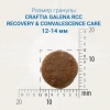 CRAFTIA GALENA RECOVERY&CONVALESCENCE CARE для собак поддержка в период восстановления и реабилитации Вес 2 кг