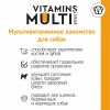 Мультивитаминное лакомство для собак SECRET Vitamins MultiEffect 100 таб.