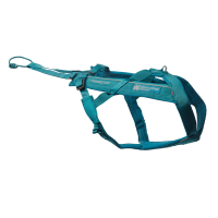 Шлейка ездовая Freemotion 5.0 бирюзовая Non-stop Размер 6