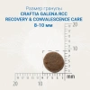 CRAFTIA GALENA RECOVERY&CONVALESCENCE CARE для кошек поддержка в период восстановления и реабилитации