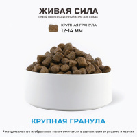 Живая Сила Телятина и яблоко Сухой корм для щенков и юниоров от 3 месяцев. Крупная гранула