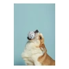 Мяч Блум для собак 7 см, M-Pets