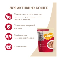 Мнямс Кусочки в соусе с телятиной для активных кошек 85 г