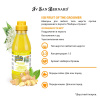 Шампунь Iv San Bernard Fruit of the Groomer Ginger&Elderbery для любого типа шерсти против раздражений и перхоти 500 мл