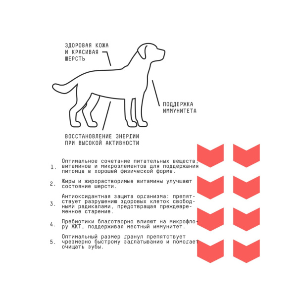 AJO Basic Line Medium Говядина с гречкой Сухой корм для собак средних пород