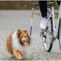 Велоспрингер для собак, TRIXIE