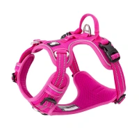 Шлейка прогулочная с ручкой Classic, Truelove Размер S, Цвет розовый