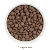 GRANDORF Индейка для взрослых собак средних и крупных пород Вес 3 кг