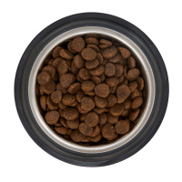 Premil Super Premium Sport 25/20 Курица и тунец Сухой корм для активных и рабочих собак