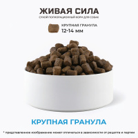 Живая Сила Телятина и черника Сухой корм для щенков от 1 месяца. Крупная гранула