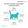 GRANDORF Fresh Ягненок с бататом для кошек крупных пород Вес 2 кг