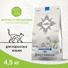 CRAFTIA GALENA RECOVERY&CONVALESCENCE CARE для кошек поддержка в период восстановления и реабилитации Вес 4,5 кг