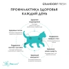 GRANDORF Fresh Ягненок с бататом для котят Вес 2 кг