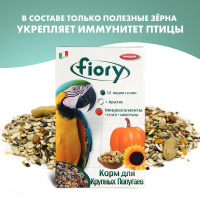 Корм для крупных попугаев Fiory Pappagalli 700 г