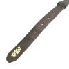 Ошейник кожаный 25 мм (38-50 см) с бронзовой фурнитурой Corex