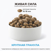 Живая Сила Спорт Индейка Развитие выносливости. Сухой корм для активных собак. Крупная гранула