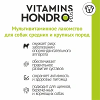 Мультивитаминное лакомство SECRET Hondro Plus для собак средних и крупных пород 100 таб.